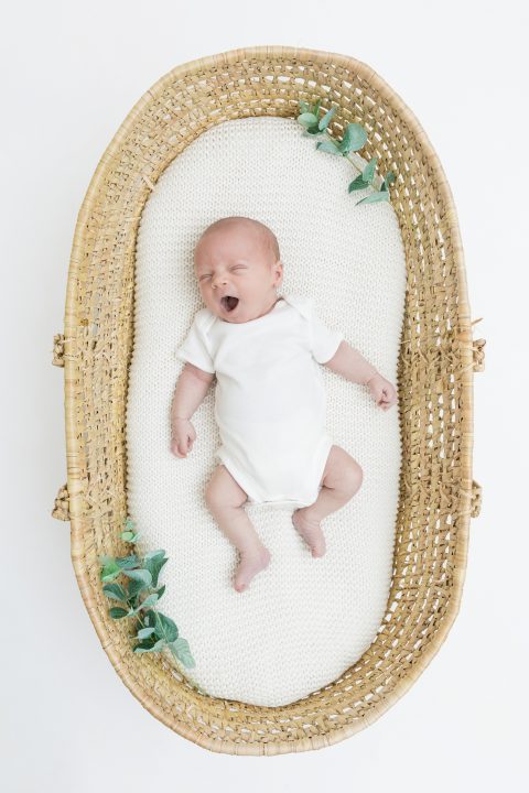 Newborn studio photographer Northumberland baby boy